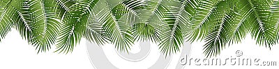 Vector seamless summer palm leaves on white background. Vector Illustration