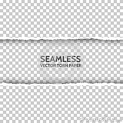 Vector seamless torn paper Vector Illustration