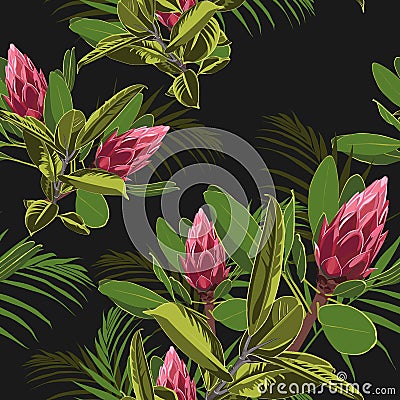 Vector seamless tropical pattern, vivid tropic foliage, with ficus elastic and palm leaves, red protea flower in bloom. Stock Photo