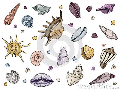 Vector seashells Set Vector Illustration