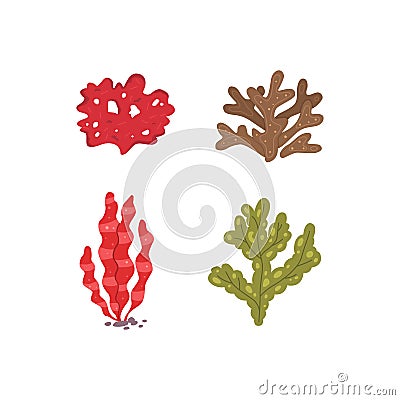 Vector seaweed icons isolated on whire. Sea coral and underwater marine plants. Vector Illustration