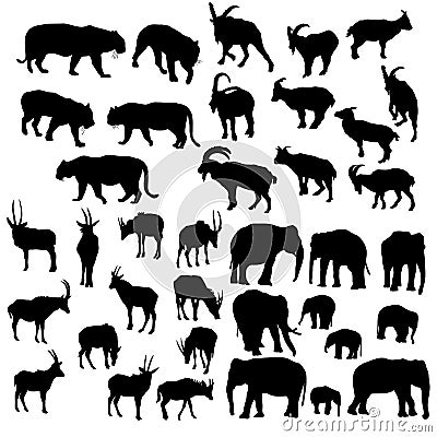 Vector set of animals Vector Illustration