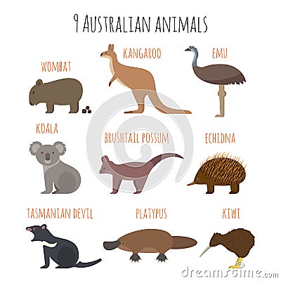 Vector set of Australian animals icons. Vector Illustration