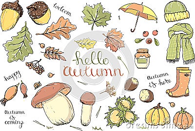 Vector set of autumn items. Cartoon colored isolated objects on a white background. Vector Illustration