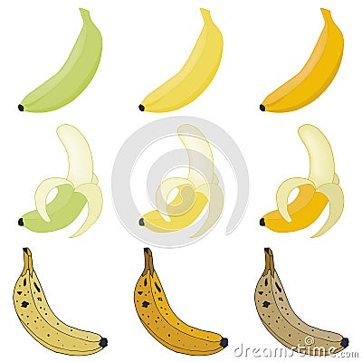 Vector set bananas Vector Illustration