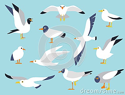 Vector set of beautiful seagulls in a flat style isolated on white background. Sea Gull, a beautiful bird. Cute bird in cartoon Stock Photo