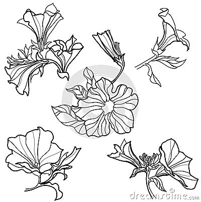 Vector set of bell-flowers Vector Illustration