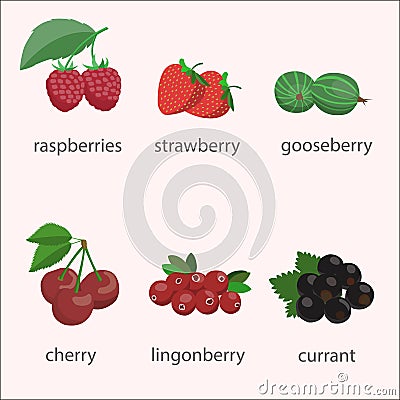 Vector set of berries. Vector Illustration