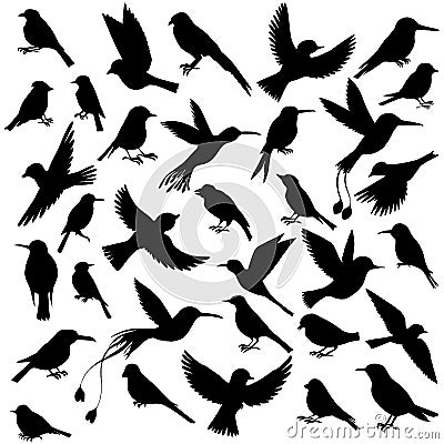 Vector set of birds Vector Illustration