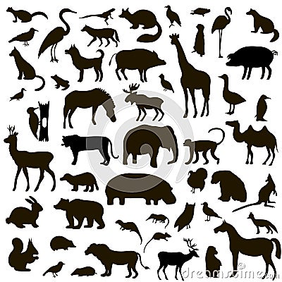Vector Set of Black Animals and Birds Silhouettes Cartoon Illustration