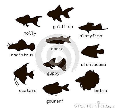 Vector set of black aquarium fish silhouettes with text Vector Illustration