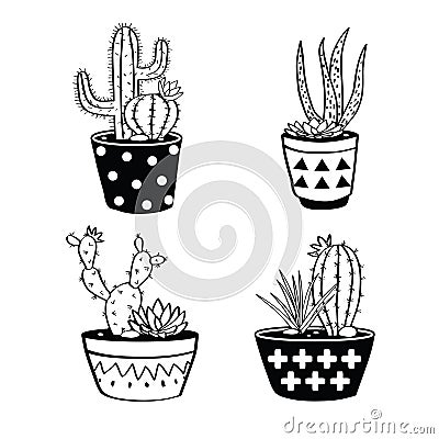 Vector set with black and white cactuses and succulents in pots. Vector Illustration