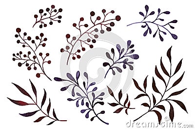 Vector set of branches isolated on white background Vector Illustration