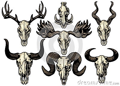 Set bundle of animal collection Vector Illustration