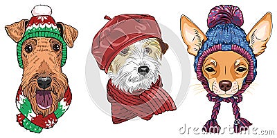 vector Set 18 cartoon hipster dogs Vector Illustration