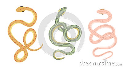 Vector set of cartoon snakes isolated from background. Clipart collection of serpents in various poses in pastel colors Vector Illustration