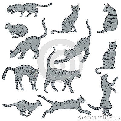 Vector Set of Cartoon Striped Cats Vector Illustration