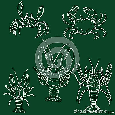 Vector Set of Chalk Sketch Sea Animals. Omar, Lobster and Crab Vector Illustration