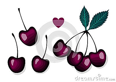 Vector Set of cherries. Separate berries and a group with a leaf. Vector Illustration