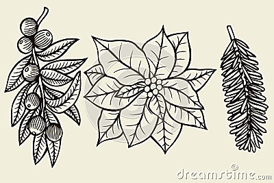 Vector set with Christmas plants. Vector Illustration