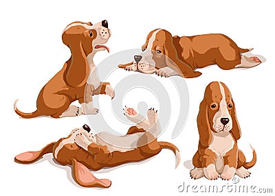 Vector set of color hand drawn basset hounds. Cute puppies isolated on white background. Funny animal characters Vector Illustration