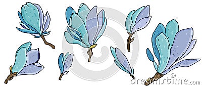 Vector set of colored botanical element, tender blooming magnolias blue Vector Illustration