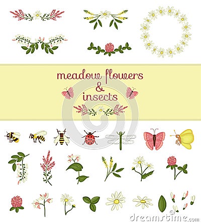 Vector set of colored wild flowers elements and insects Vector Illustration