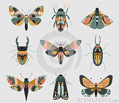 Vector set of colorful insects with hand drawn abstract texture. Beetle, butterfly, moth collection. Vector Illustration