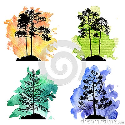 Vector set of conifer trees Vector Illustration