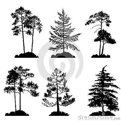 Vector set of conifer trees Vector Illustration