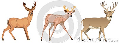 Vector set of cute cartoon deers. mushrooms, berries and leaves. Vector baby deer. Deers illustration Stock Photo