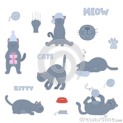 Vector set of cute cats isolated. Vector Illustration