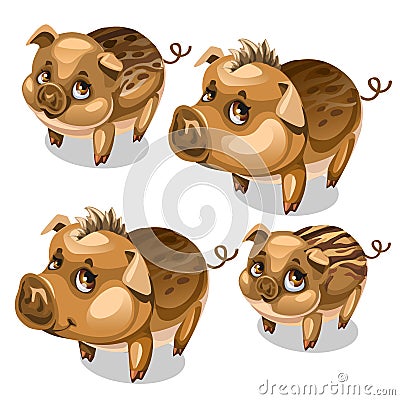 Vector set of cute pigs with brown eyes Vector Illustration