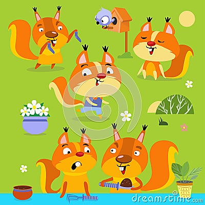 Vector set of cute squirrels. Squirrel runs, sits, plants, communicates, sunbathes. Family collection animals colorful Vector Illustration