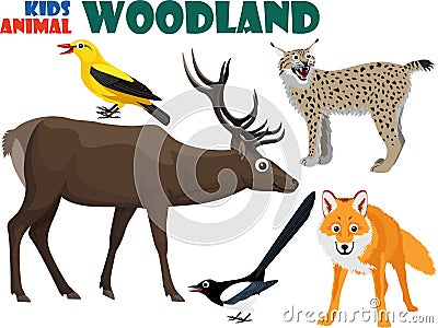 Vector set of cute woodland kids animals Vector Illustration