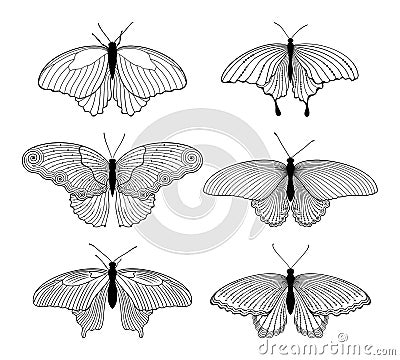 Vector set of decorated, stylized, isolated outline butterflies in black color on white background. Vector Illustration