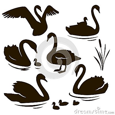 Vector set of decorative birds. Swan with nestling. Swan silhouette Vector Illustration