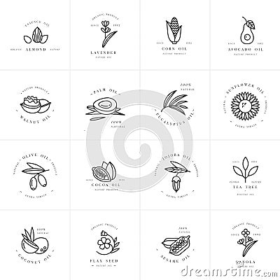 Vector set design templates and emblems - healthy and cosmetics oils. Different natural, organic oils. Vector Illustration