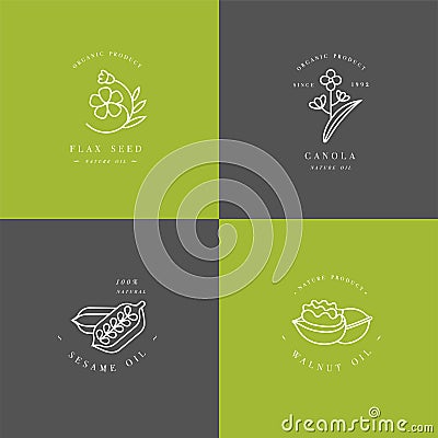 Vector set design templates and emblems - healthy and cosmetics oils - flax seed, walnut, sesame and canola. Vector Illustration