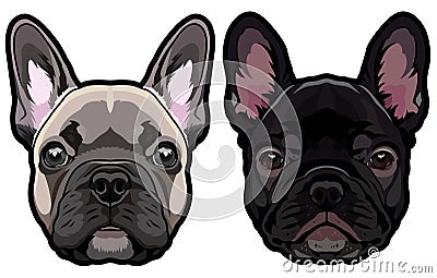 Vector set of french bulldog`s heads illustration Vector Illustration