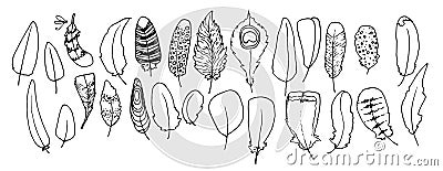 a set of different bird feathers. a drawn collection of bird feathers in sketch style, with different texture of stripes Vector Illustration