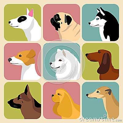 Vector set of different dogs icons in trendy flat style. Vector Illustration