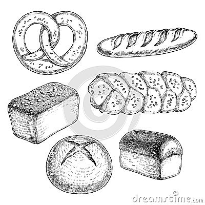 Vector set of different varieties of bread. Graphic sketch elements for bakery design. Hand drawn illustration in dashed vintage Vector Illustration