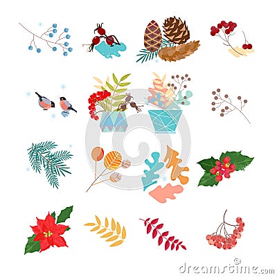 Vector Set of Dried branches and grass. Winter decoration for postcards, sticker Vector Illustration