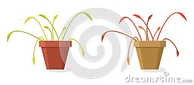 Vector set of dying home plants Vector Illustration