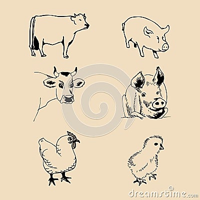 Vector set of farm animals hand sketched illustrations with pig, cow and chicken for meat products logo. Eco food sign. Vector Illustration