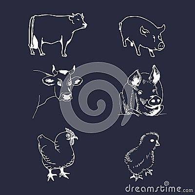 Vector set of farm animals hand sketched illustrations with pig, cow and chicken for meat products logo. Eco food sign. Vector Illustration