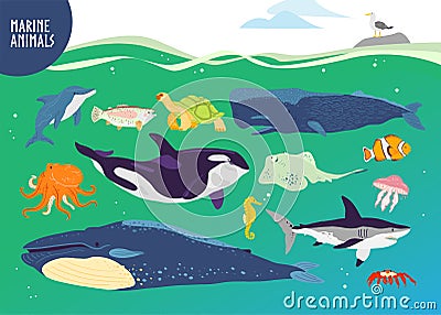 Vector set of flat hand drawn cute marine animals: whale, dolphin, fish, shark, jellyfish. Vector Illustration