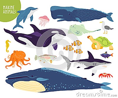 Vector set of flat hand drawn cute marine animals: whale, dolphin, fish, shark, jellyfish. Vector Illustration