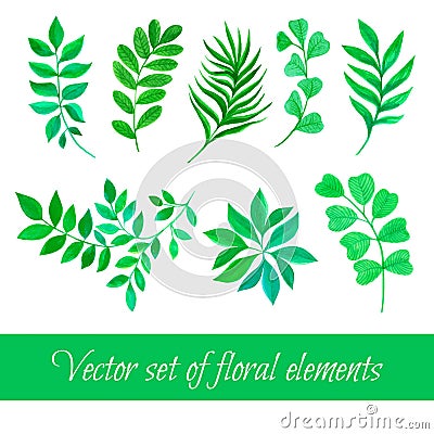 Vector set of floral collection with leaves drawing watercolor Vector Illustration